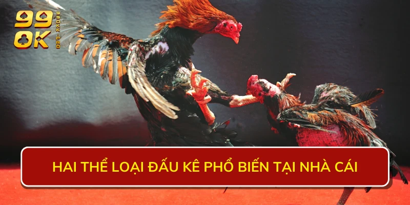 Hai thể loại đấu kê phổ biến tại nhà cái