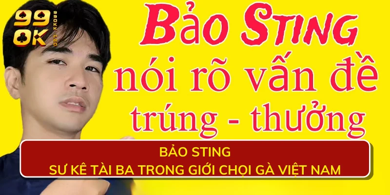 Bảo Sting - sư kê tài ba trong giới chọi gà việt nam