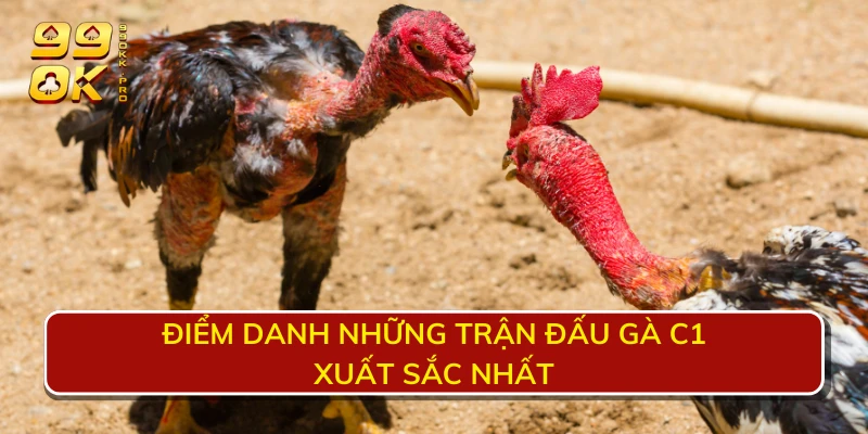 Điểm danh những trận đấu gà C1 xuất sắc nhất