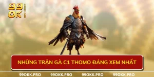 Những trận gà C1 thomo đáng xem nhất