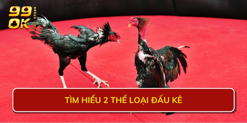 Tìm hiểu 2 thể loại đấu kê