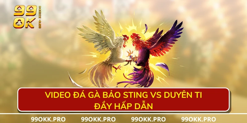 Video đá gà Bảo Sting vs Duyên Ti đầy hấp dẫn